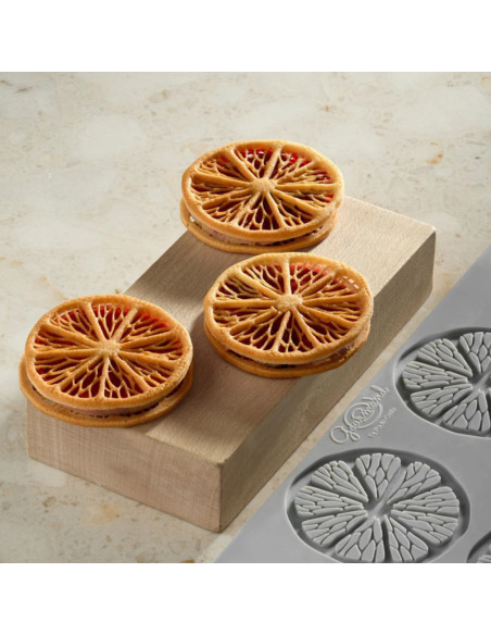 MOLDE GG078 CITRUS By Paolo Griffa