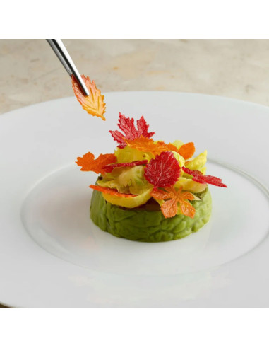 MOLDE GG077 FOLIAGE By Paolo Griffa