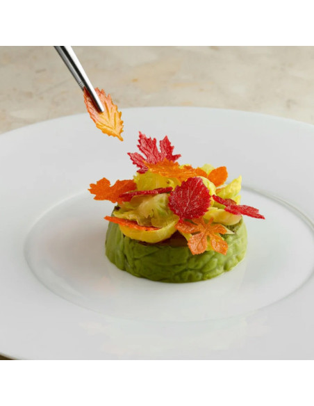 MOLDE GG077 FOLIAGE By Paolo Griffa