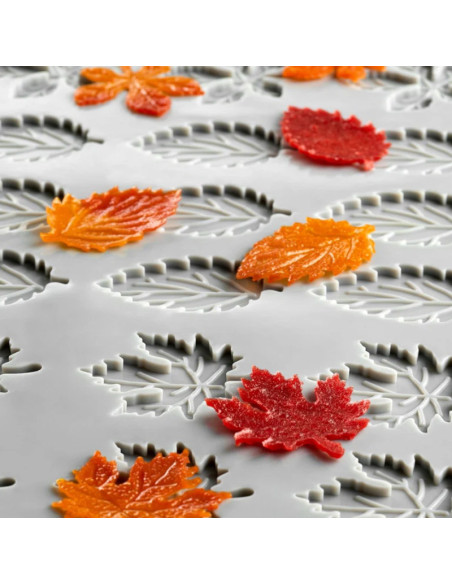 MOLDE GG077 FOLIAGE By Paolo Griffa