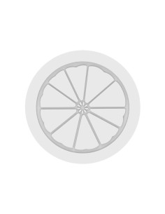 M. THE SLICE OF CITRUS 940 D.170xh.45 940ml 2