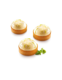 KIT TARTE RING PALET D70 - 64x18 molde+8 rings