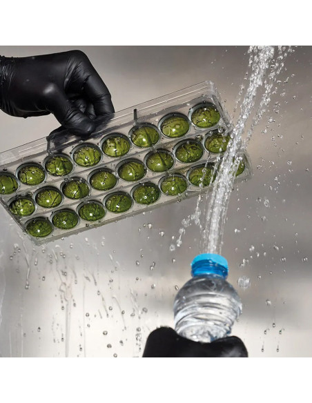 OFFBEAT - ANDREY DUBOVIK-2