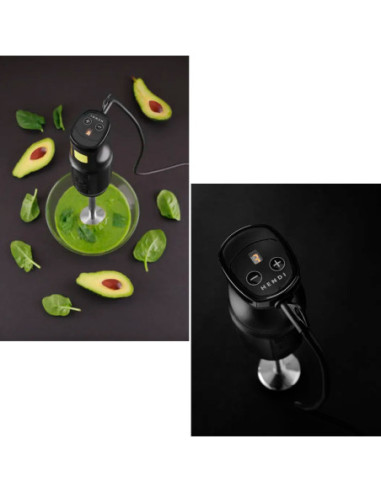 HENDI BLEND BATIDORA DE BRAZO 250W-1