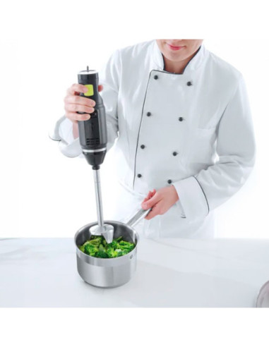 HENDI BLEND BATIDORA DE BRAZO 250W-3