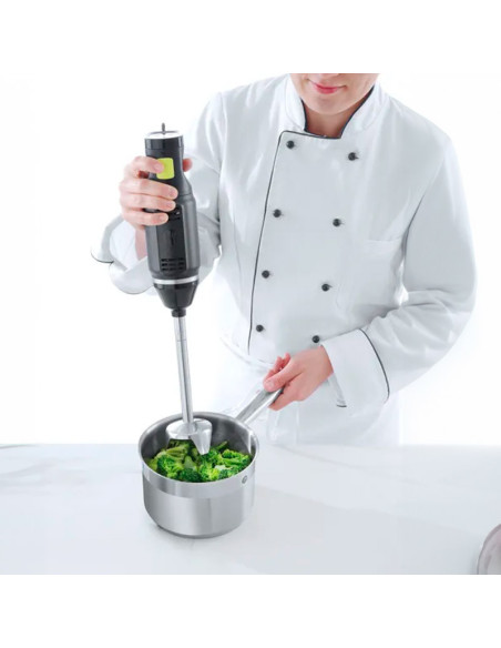 HENDI BLEND BATIDORA DE BRAZO 250W-3