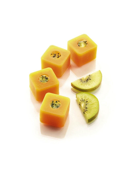 MOLDE SUSHI MAKI 35x35x25mm 15p 26,3mlBuffet