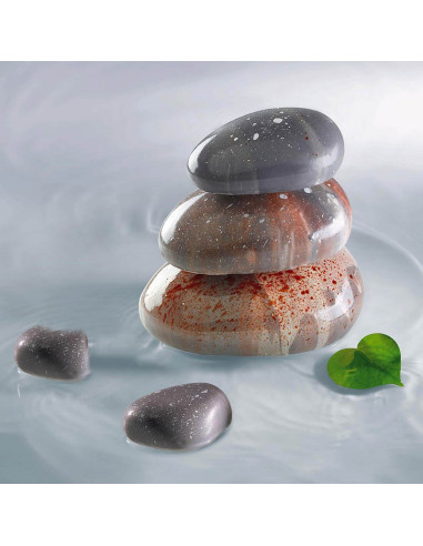 MOLDE ZEN 100 Silikomart Monoporciones MOLDE ZEN 100 Silikomart Monoporciones