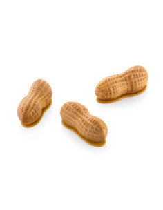 M. ARACHIDE 30 72x29xh.27mm 12c 30ml +CUTTER