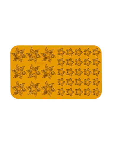 MOLDE NATURAE BOTANICA-1