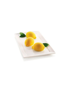 MOLDE DELIZIA AL LIMONE - 85x59xh42 mm 6x106 ml