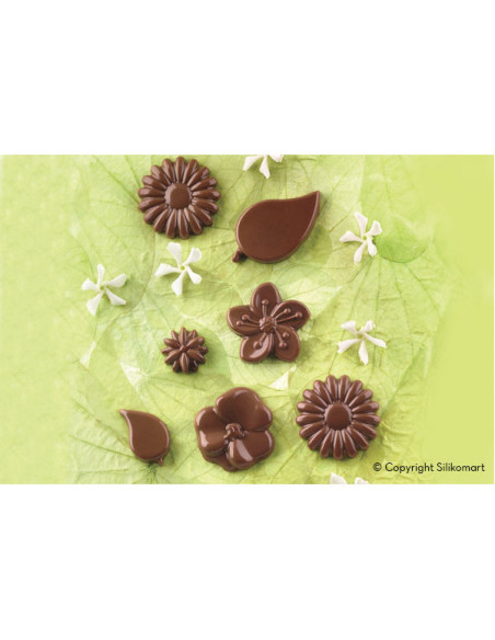 MOLDE BOMBÓN SCG44 CHOCO GARDEN-1