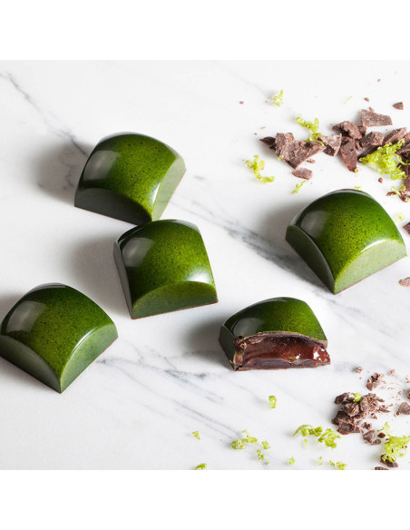 Molde bombones CW1865 Alexandre Bordeaux (24 c)-1