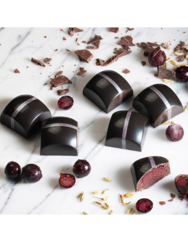 Molde bombones CW1865 Alexandre Bordeaux (24 c)-2