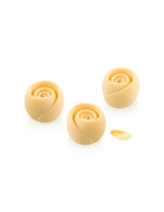 MOLDE GIVRÉ 30 D40xh30mm 15c  30 ml