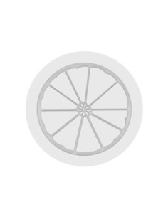 M. THE SLICE OF CITRUS 940 D.170xh.45 940ml 2