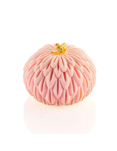 KIKU 70  D.58xH37 mm