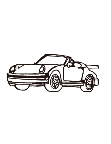 M. PVC COCHE PORSCHE SP (1P) 240x104x70Terrestre