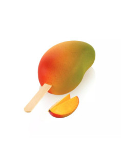 MOLDE GEL20 MANGO 82x54xh43mm (2pz)
