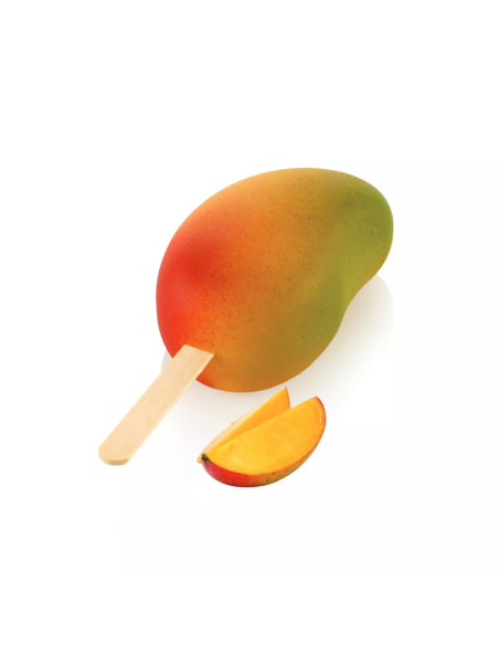 MOLDE GEL20 MANGO 82x54xh43mm (2pz)