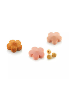 MOLDE FIORE XS13 D.42xh.15mm 18c 13ml