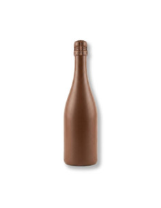 MOLDE PVC ARMD798 BOTELLA CAVA