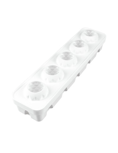 MOLDE FORESTA & ANANAS 110Silikomart Monoporciones