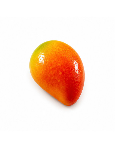 PAVOFLEX PX43104 MANGO 90x58xh35mm 