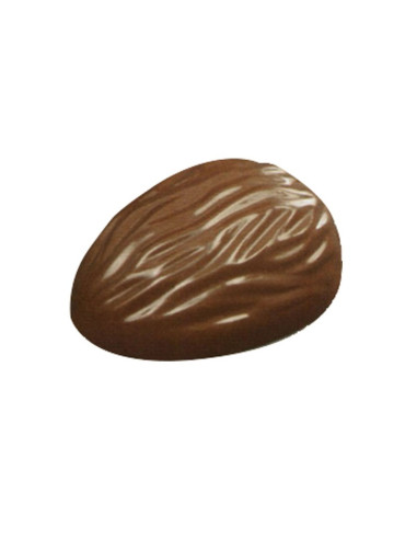 MOLDE M09 NUEZ 26x35x14mm 30p 175x275Varios