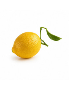 MOLDE AF006S CITRON CEDRIC GROLET