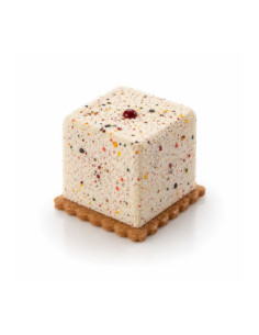 MOLDE CUBE40TIME 34x34xh26 mm 15x40 ml