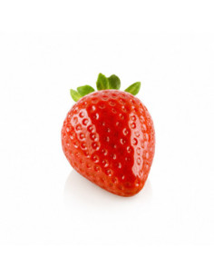 MOLDE  FRAGOLA 30 - 15p x 30ml