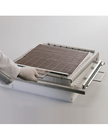 BASE GUITARRA DOBLE CD100Guitarras - Hojas