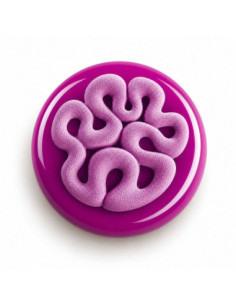 MOLDE TOP15 JELLY