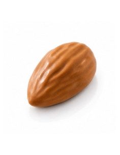 PAVOFLEX 3d PX3229 ALMOND 46 x 32 x h23 mm 20ml