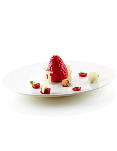 MOLDE MORA & LAMPONE 110-6