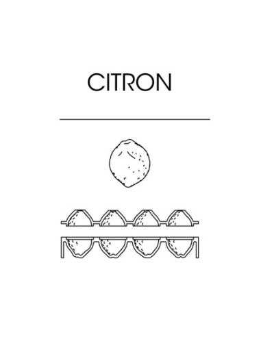 MOLDE AF006S CITRON CEDRIC GROLET-1