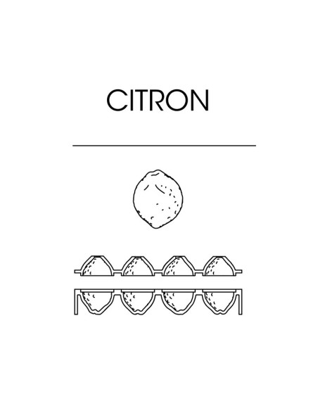 MOLDE AF006S CITRON CEDRIC GROLET-1