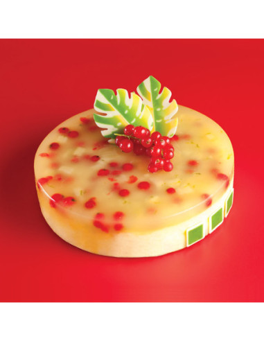 MOLDE PAVOCAKE KE002