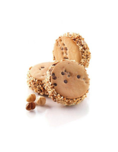 MOLDE COOKIE FLEX BISC02 M MINI DISCOTTO (2pz) 2