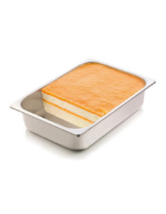 MOLDE TAPIS GEL02 320,7x220,7x10mm