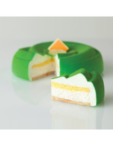 PAVOCAKE PK001 (6 moldes+bandeja)