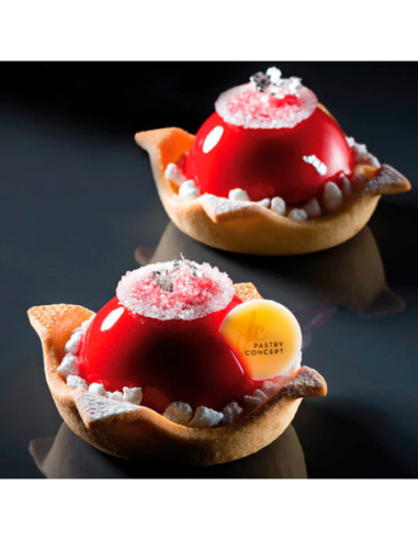 TAPETE FF08 FORMASIL 24 TART. REDONDAS D65/55x20mm-2