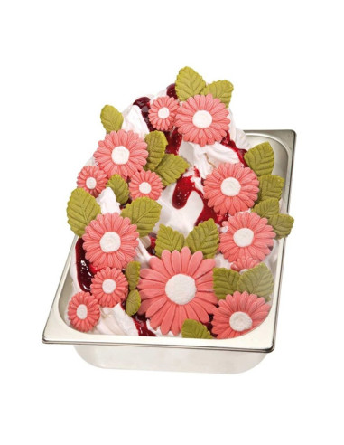MOLDE DS10002 GERBERA MEDIAN/PEQ. DECOSIL 1s. 12pFlores