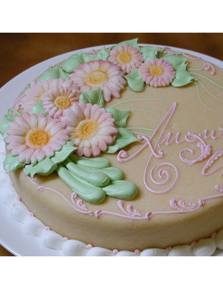 MOLDE DS10002 GERBERA MEDIAN/PEQ. DECOSIL 1s. 12pFlores