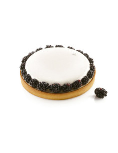 KIT TARTE RING ROUND 210 + 1 ARO - Ø210 460ml 1c