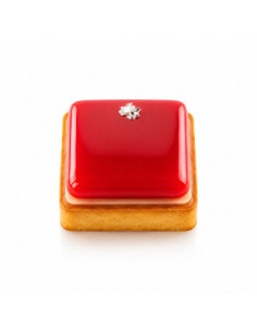 KIT TARTE RING SQUARE 80 + 6 AROS - 80mm 62ml 6c