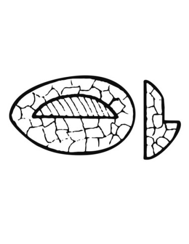 MOLDE PVC HUEVO ESCALONADO HP165B 1p