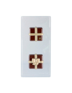 MOLDE PVC REGALO (2u) 20PR01 80x80x69mm 2