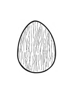 MOLDE PVC HUEVO GRABADO RAYADO 1ud